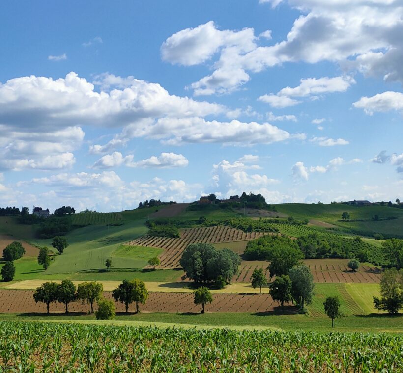Visita Castelli Cantine e Paesaggi del Monferrato in Vespa